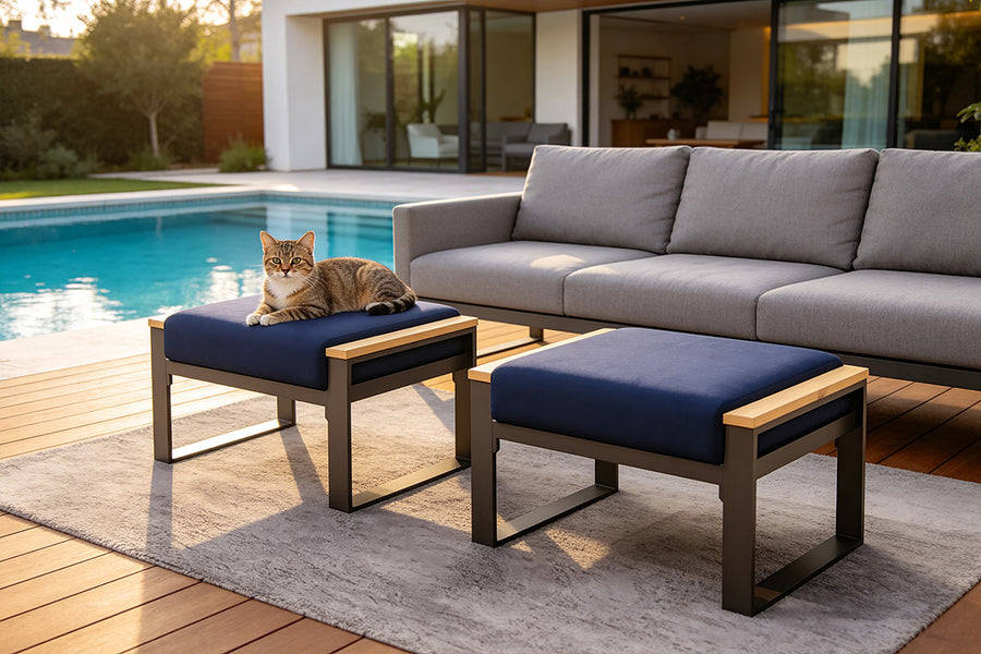 Cat on a blue cushioned stool next to a gray sofa by a poolside.